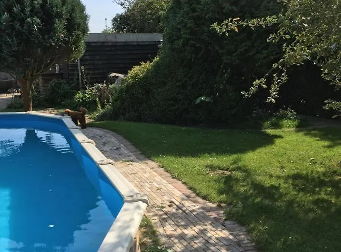 Bij Ons Op Vogelswerf 3*