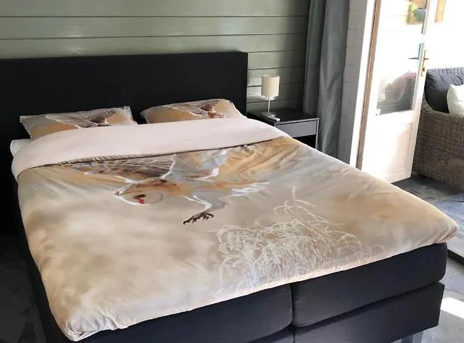 Bij Ons Op Vogelswerf Bed and breakfast