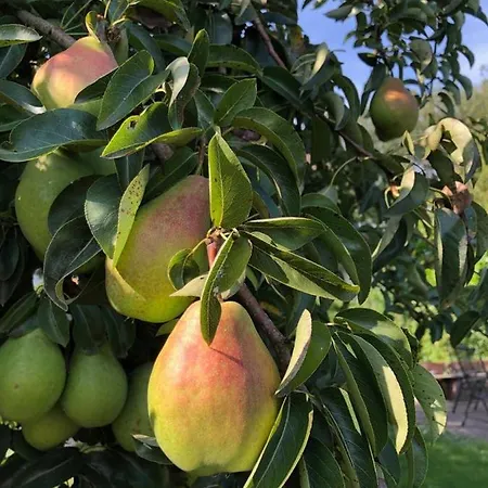 Bij Ons Op Vogelswerf Nocleg ze śniadaniem